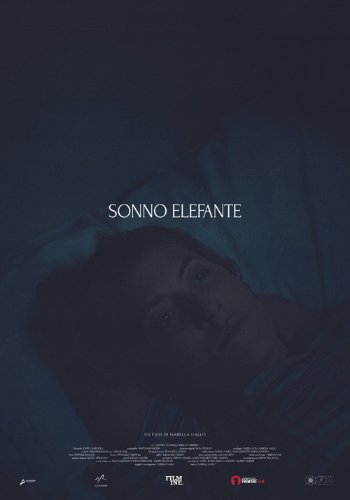 Movie poster for Sonno Elefante (2025)