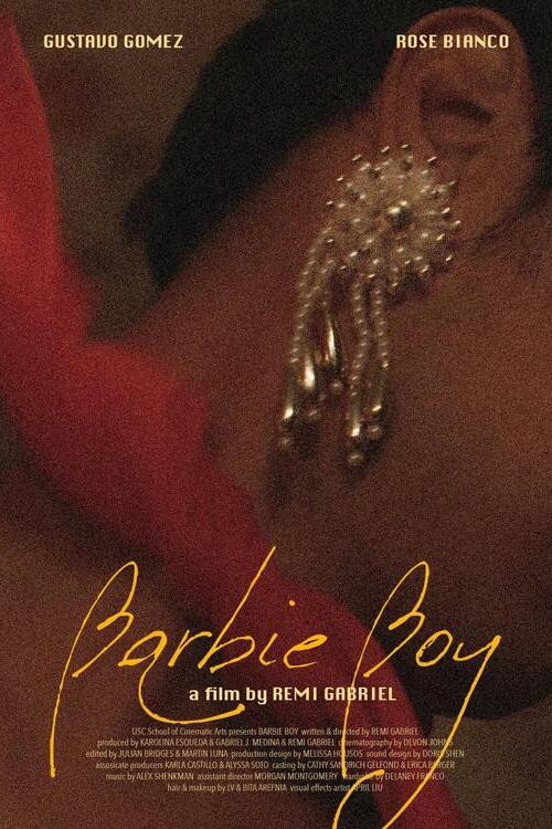 Movie poster for Barbie Boy (2024)