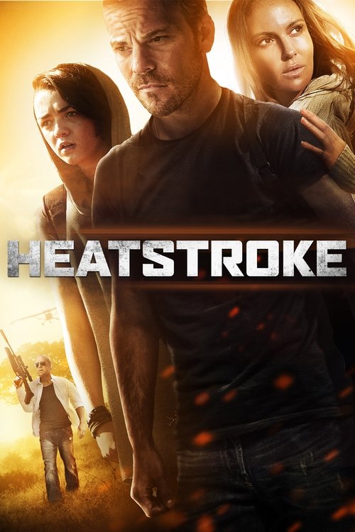 Movie poster for Heatstroke (2013)