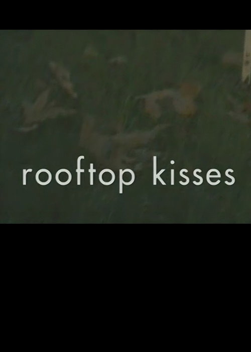 Movie poster for Rooftop Kisses (2002)