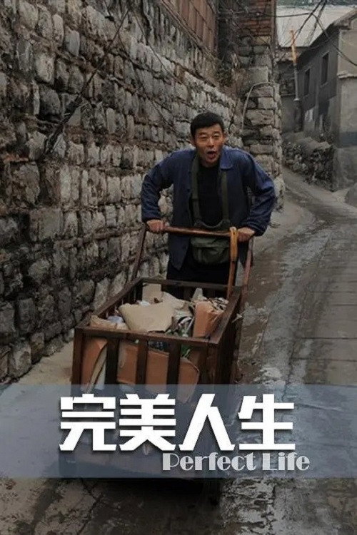 Movie poster for 完美人生 (2012)