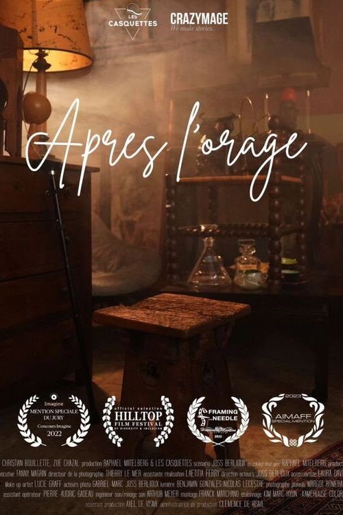 Movie poster for Après l'orage (2023)