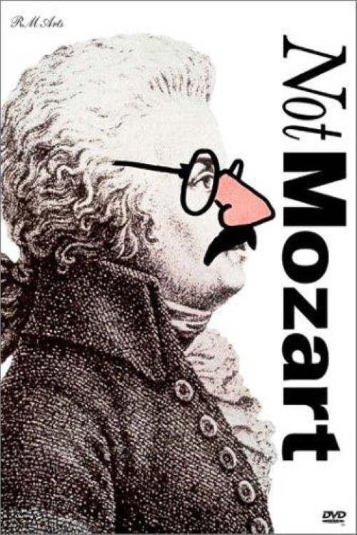 Movie poster for Not Mozart: Letters, Riddles and Writs (1991)