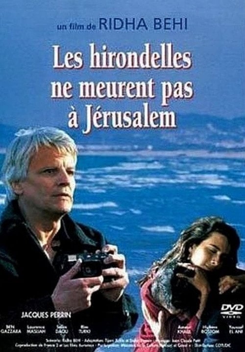 Movie poster for Swallows Never Die in Jerusalem (1994)