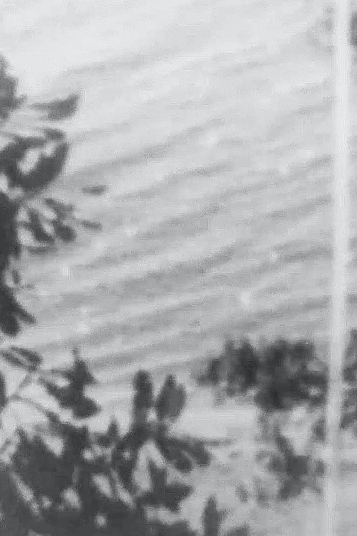 Movie poster for Point Chevalier Beach (2017)