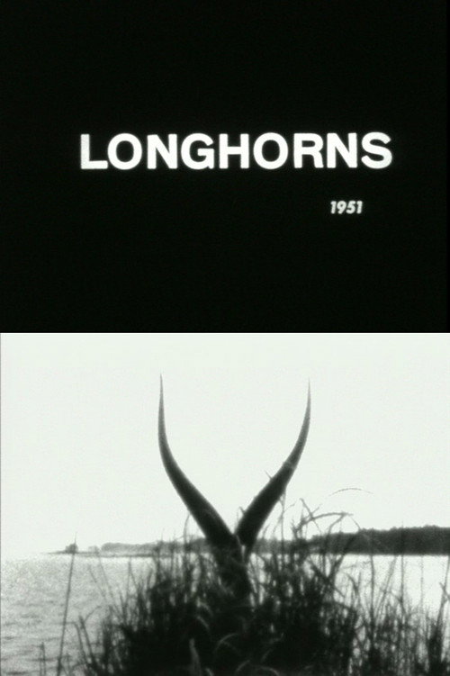 Movie poster for Longhorns (1951)