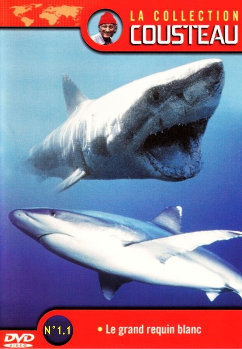 Movie poster for La Collection Cousteau N° 1 | Le Grand Requin Blanc | Les Requins Dormeurs Du Yucatan