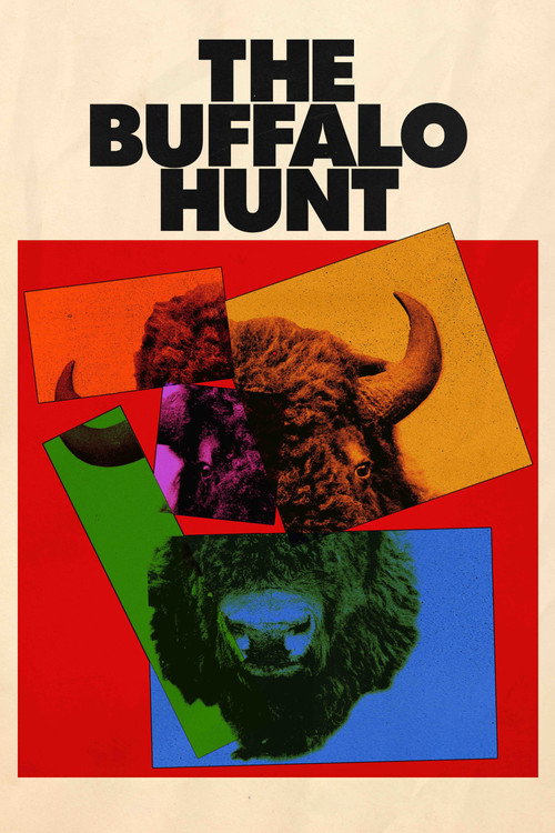 Movie poster for The Buffalo Hunt (2019)