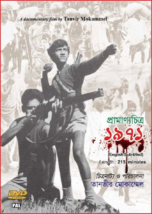 Movie poster for 1971 (2011)