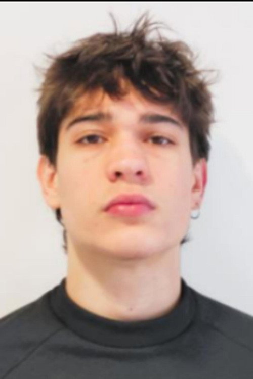 Photo of Theo Amaral, Acting