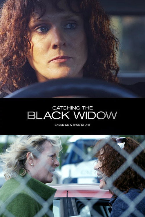 Movie poster for Catching the Black Widow (2017)