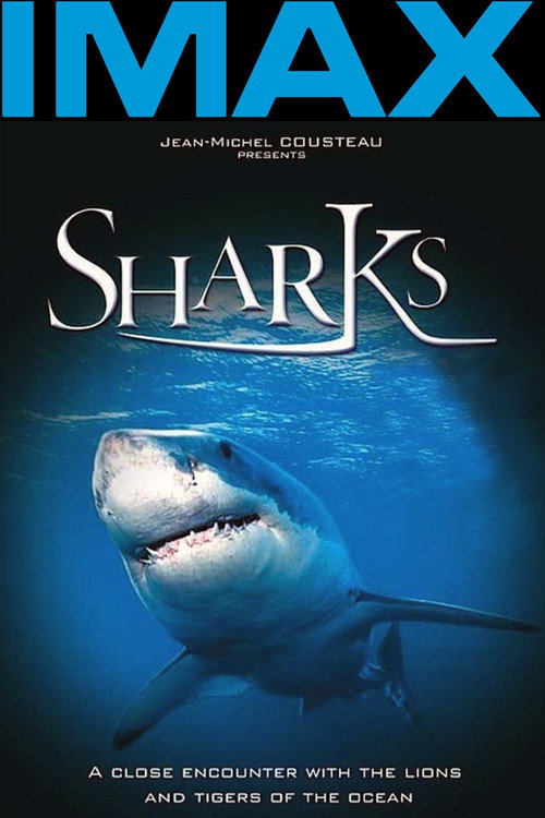 Movie poster for Sharks 3D (2004)