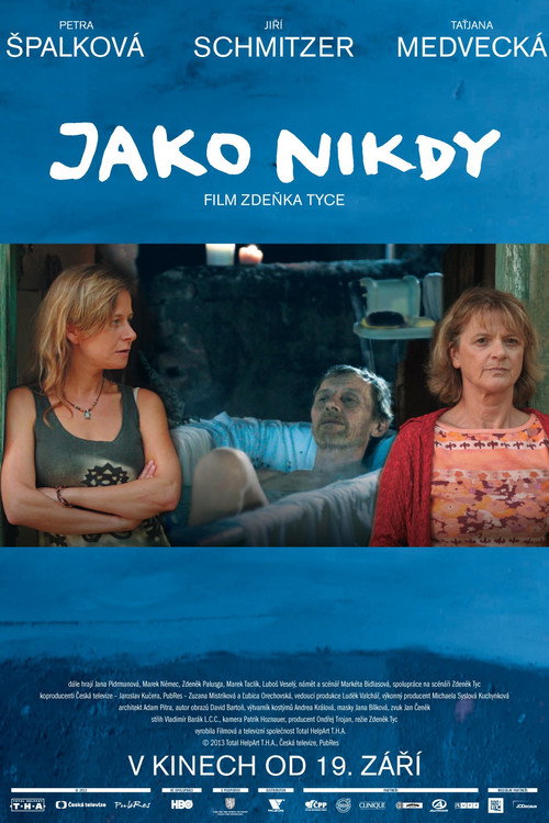 Movie poster for Like Never Before (2013)