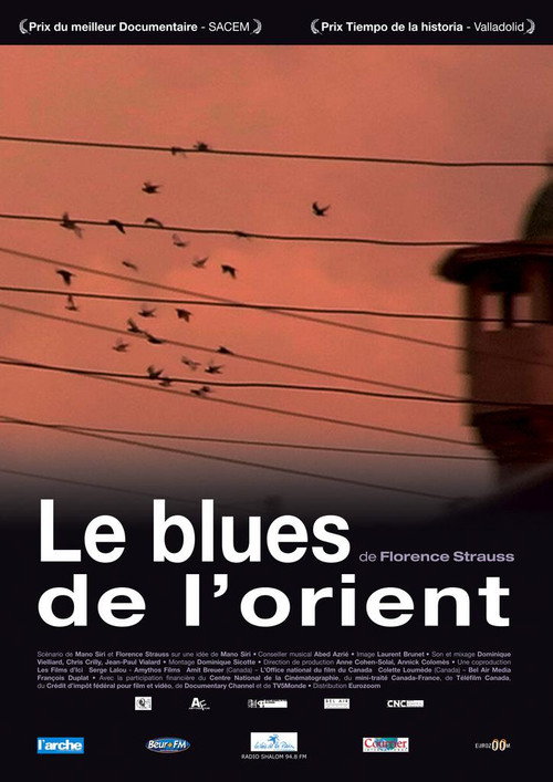 Movie poster for Le Blues de l'Orient (2007)
