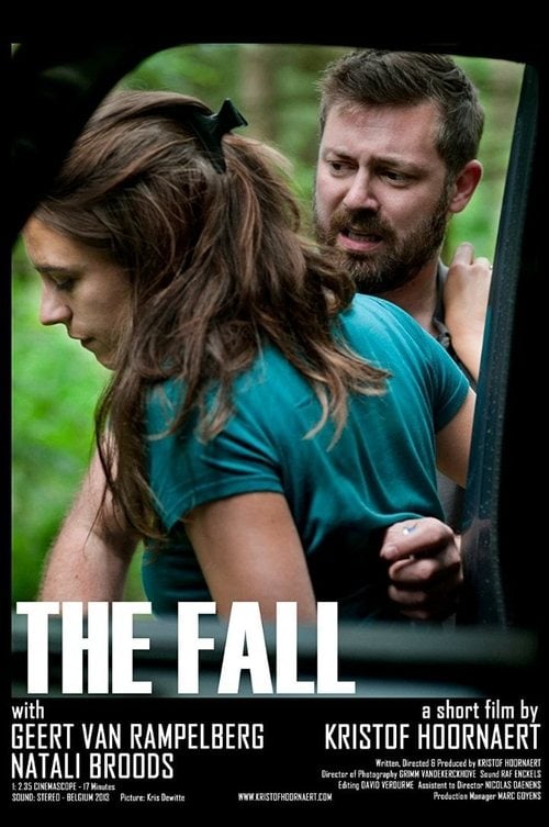 Movie poster for The Fall (2013)