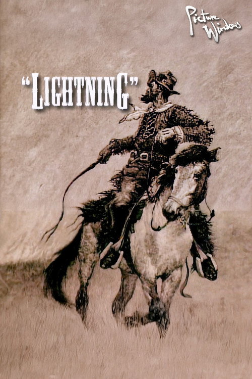 Movie poster for Picture Windows: Lightning (1995)