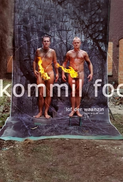 Movie poster for Kommil Foo: Lof der Waanzin (2003)