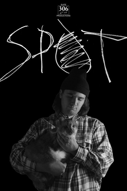 Movie poster for SPOT (2017)