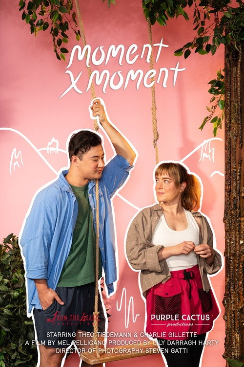 Movie poster for Moment by Moment