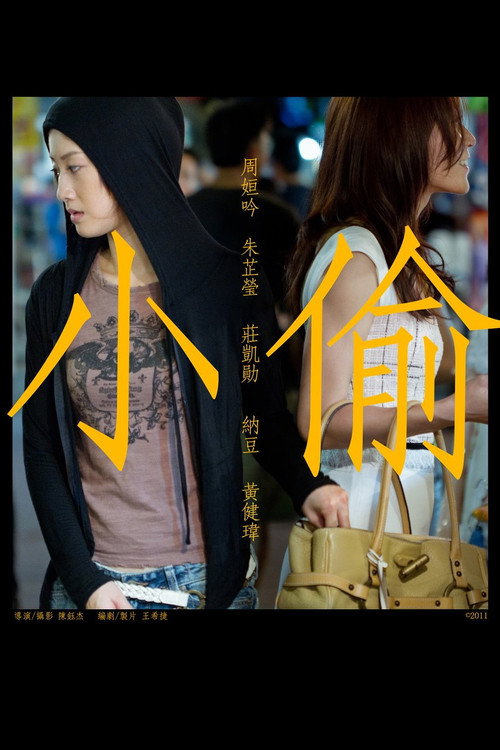 Movie poster for Thief (2011)