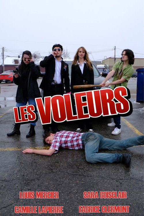 Movie poster for The Thieves (2024)