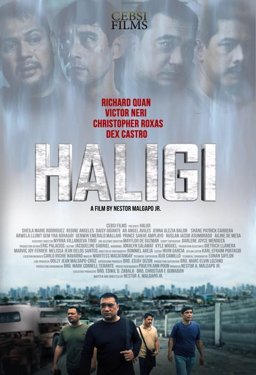 Movie poster for Haligi (2023)