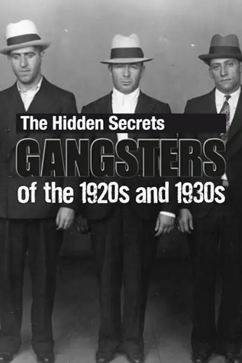 Movie poster for The Hidden Secrets: Gangsters of the 1920s and 1930s (2012)