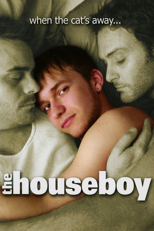 Movie poster for The Houseboy (2007)