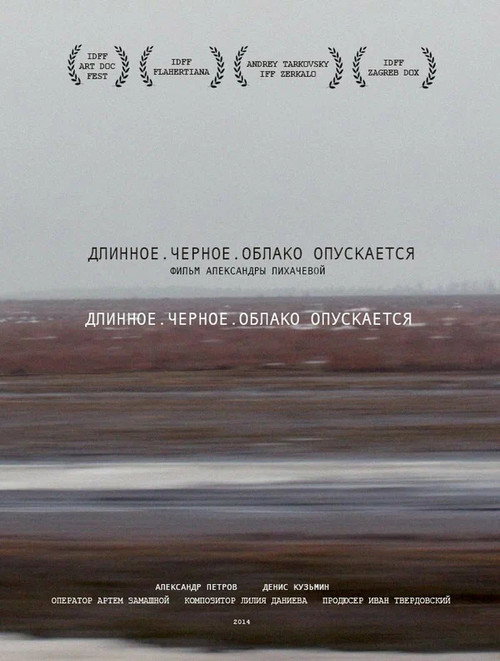 Movie poster for Long. Black. Cloud is Coming Down (2014)
