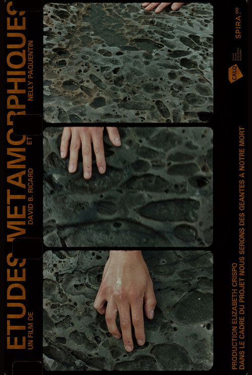 Movie poster for Études Métamorphiques