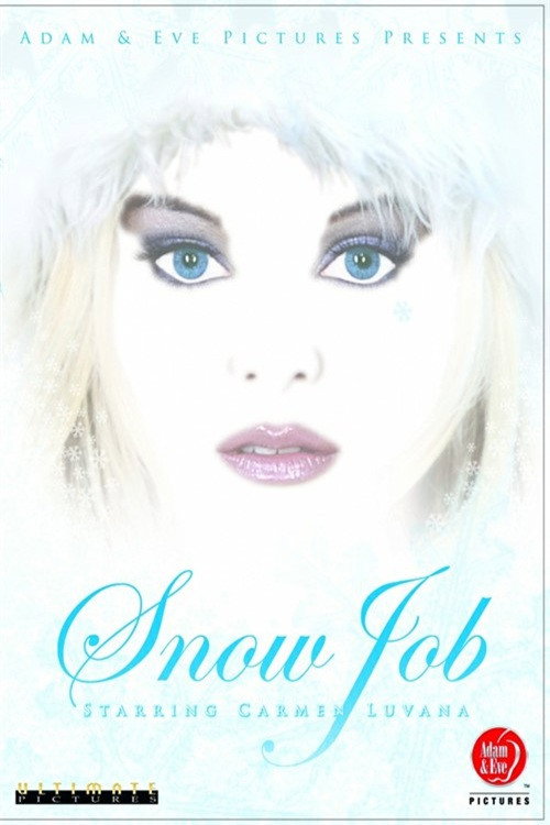Movie poster for Snow Job (2004)