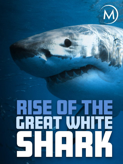 Movie poster for Rise Of The Great White Shark (2017)