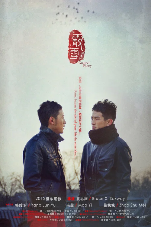 Movie poster for Graupel Poetry (2012)