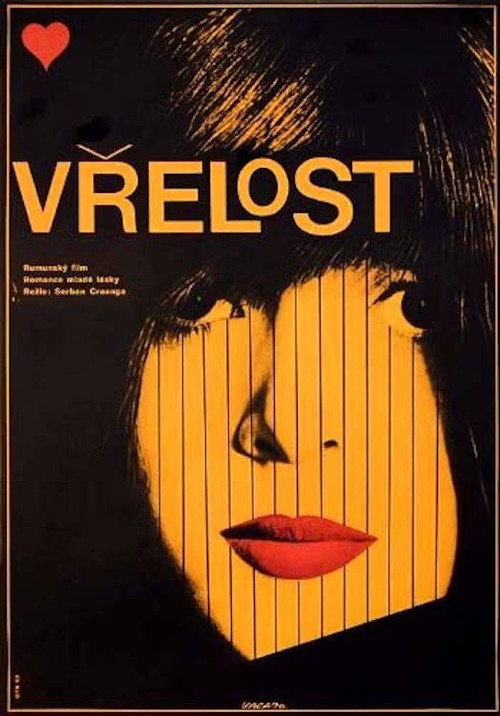 Movie poster for The Heat (1969)