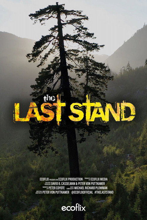 Movie poster for The Last Stand (2022)