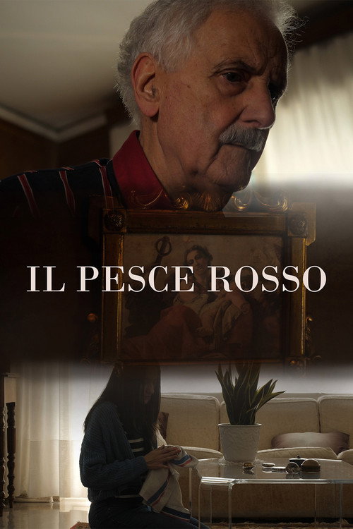 Movie poster for Il Pesce Rosso