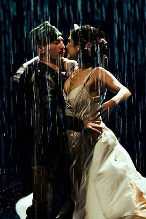 Movie poster for O Balé da Chuva (2014)