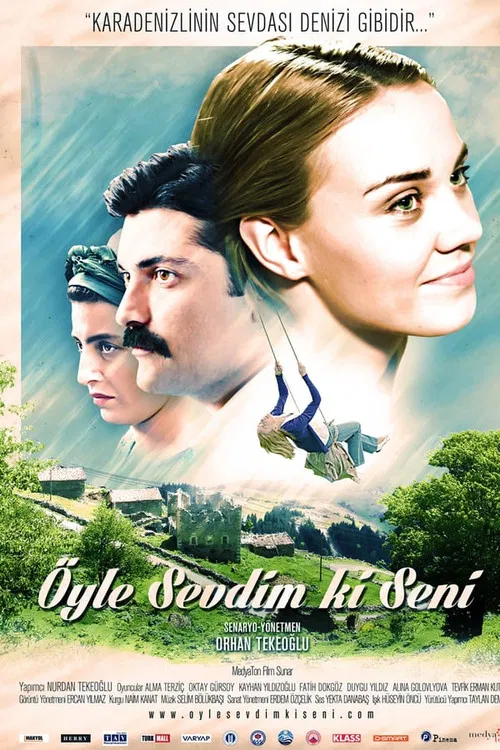 Movie poster for Öyle Sevdim ki Seni (2013)