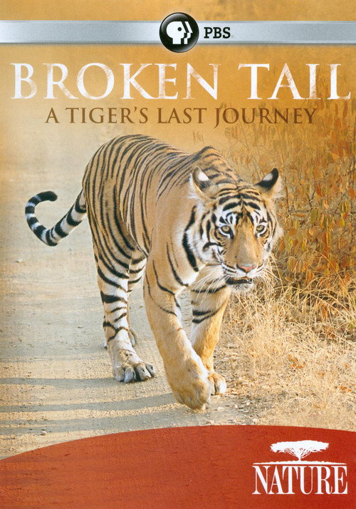 Movie poster for Broken Tail: A Tiger's Last Journey (2011)