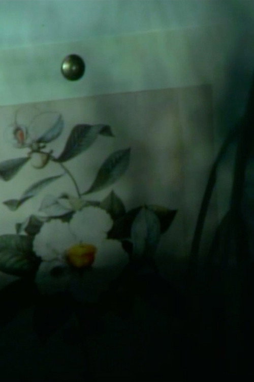 Movie poster for out of touch (franklinia still life) (2023)