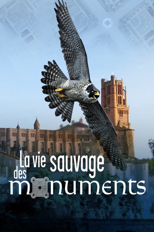 Movie poster for La Vie sauvage des monuments (2021)