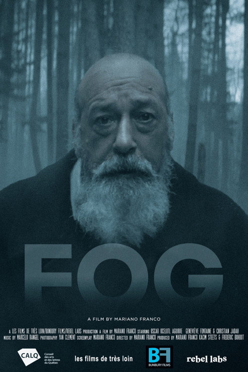 Movie poster for FOG