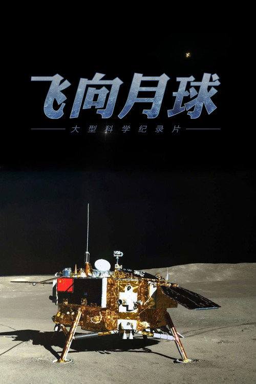 飞向月球 poster