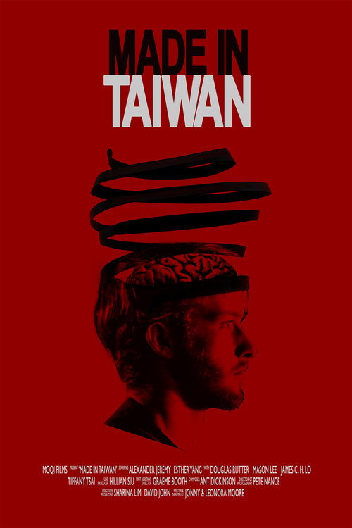 Movie poster for Made In Taiwan (2016)