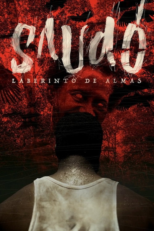 Movie poster for Saudo, Labyrinth of Souls (2016)
