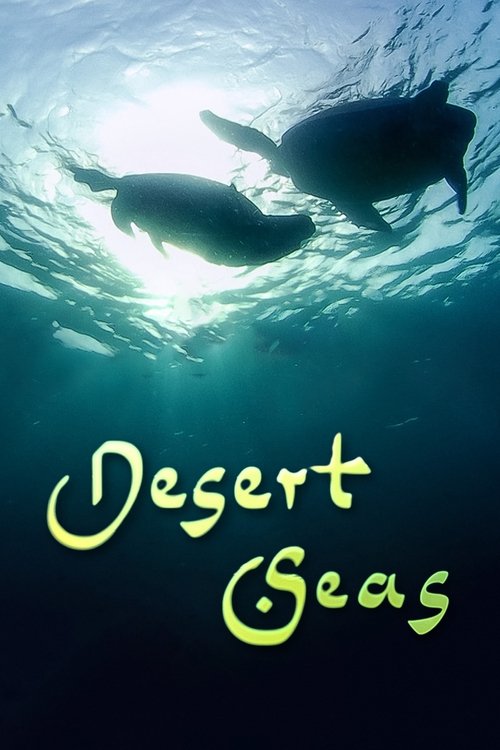 Movie poster for Desert Seas (2011)