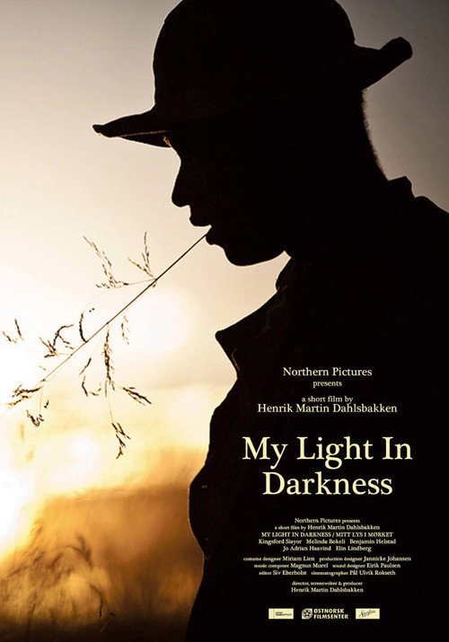 Movie poster for Mitt Lys i Mørket (2014)