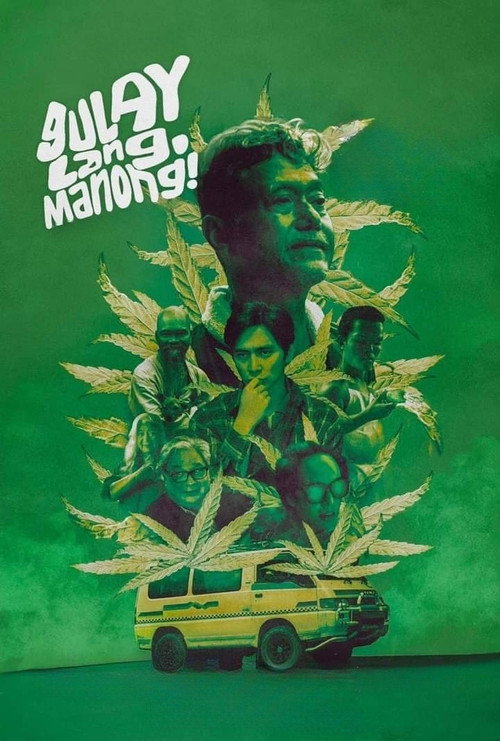 Movie poster for Gulay Lang, Manong! (2024)