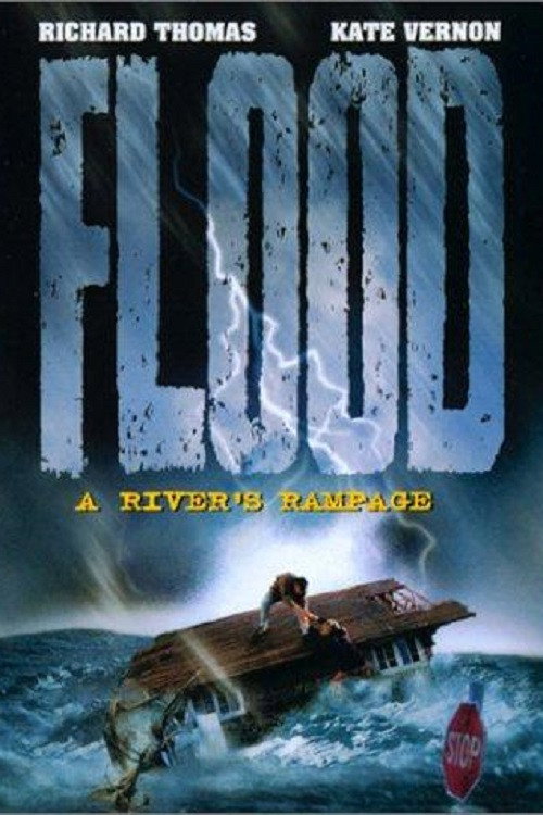 Movie poster for Flood: A River's Rampage (1997)