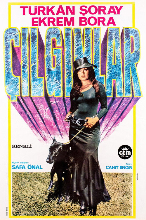 Movie poster for Crazy People (1974)